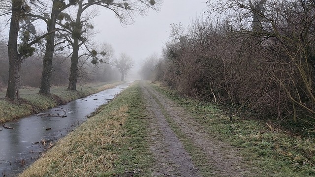Nevoeiro, Ninguém, Solitário, Desculpe