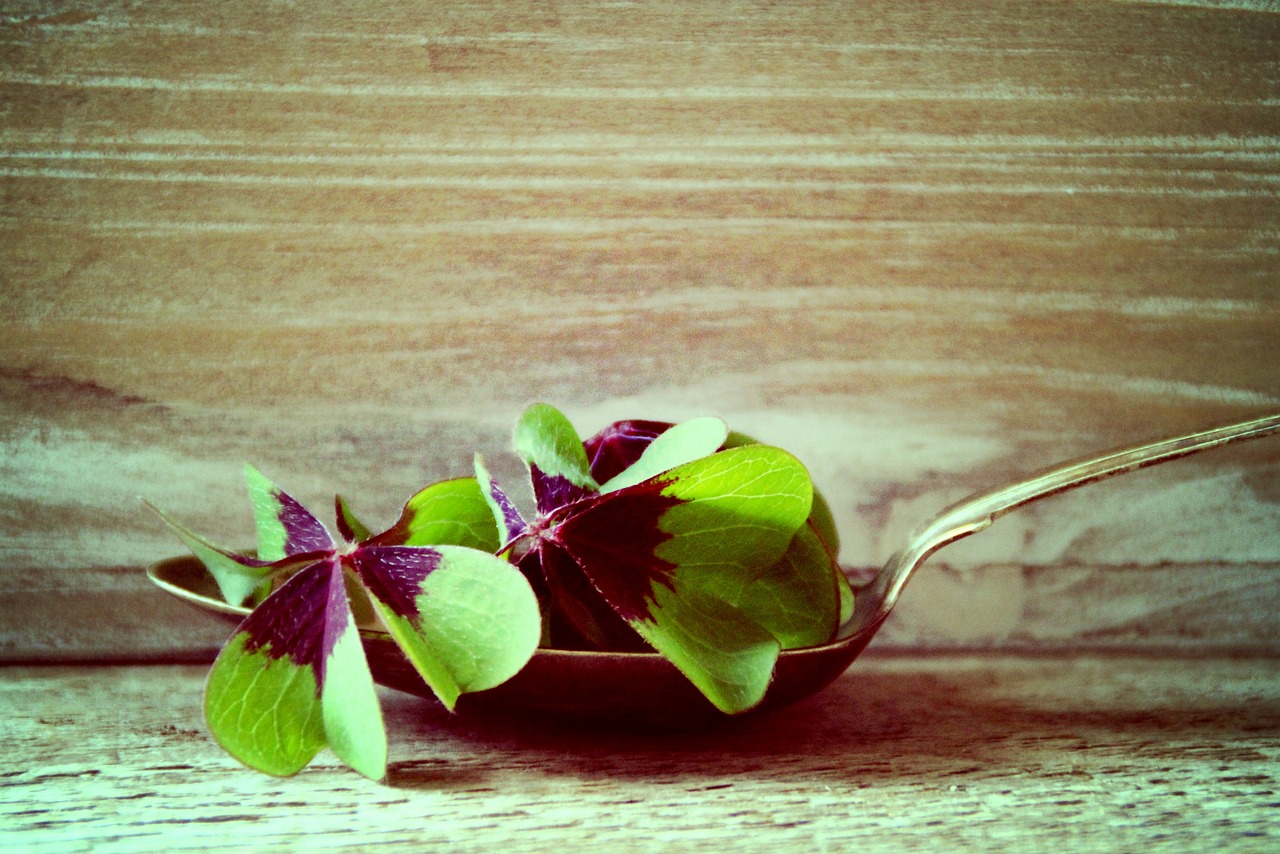 1000 多张免费的“幸运”和“幸运符”照片 - Pixabay