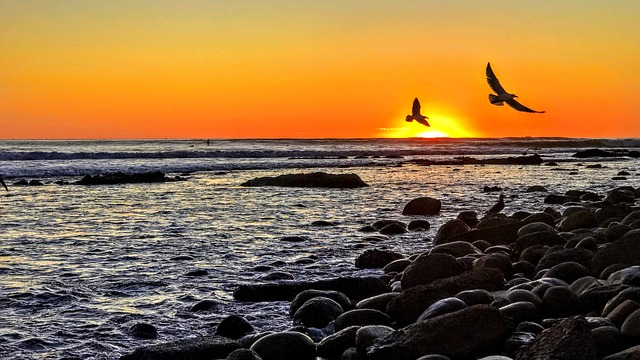 Free Rocks Ocean photo and picture