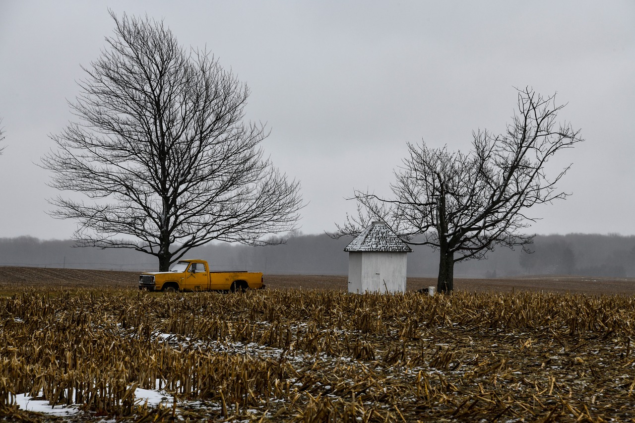 Truck - free online jigsaw puzzle photo