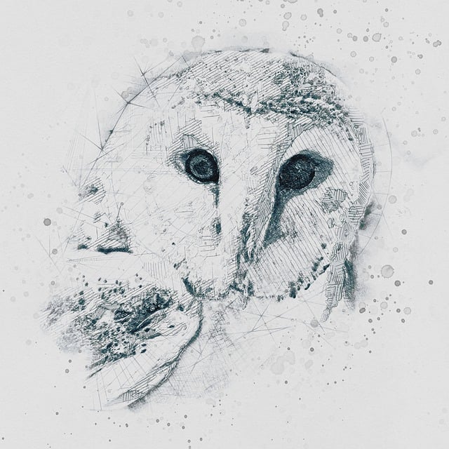 Free sketch hand drawn art illustration