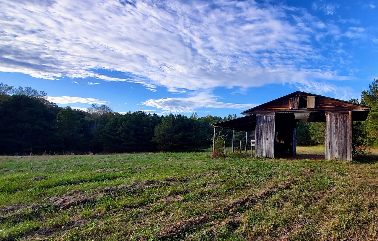 Barn - free online jigsaw puzzle photo
