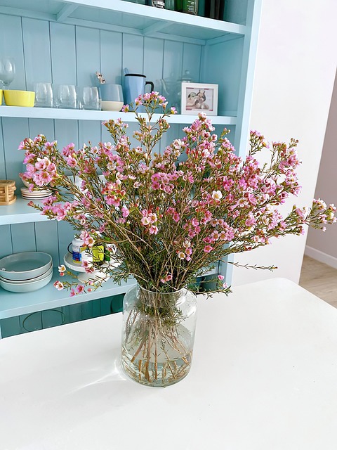Flor De Cera, Chamelaucium, Flores