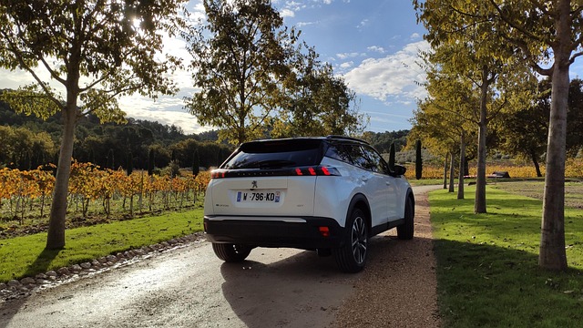 Free Peugeot E-2008 photo and picture