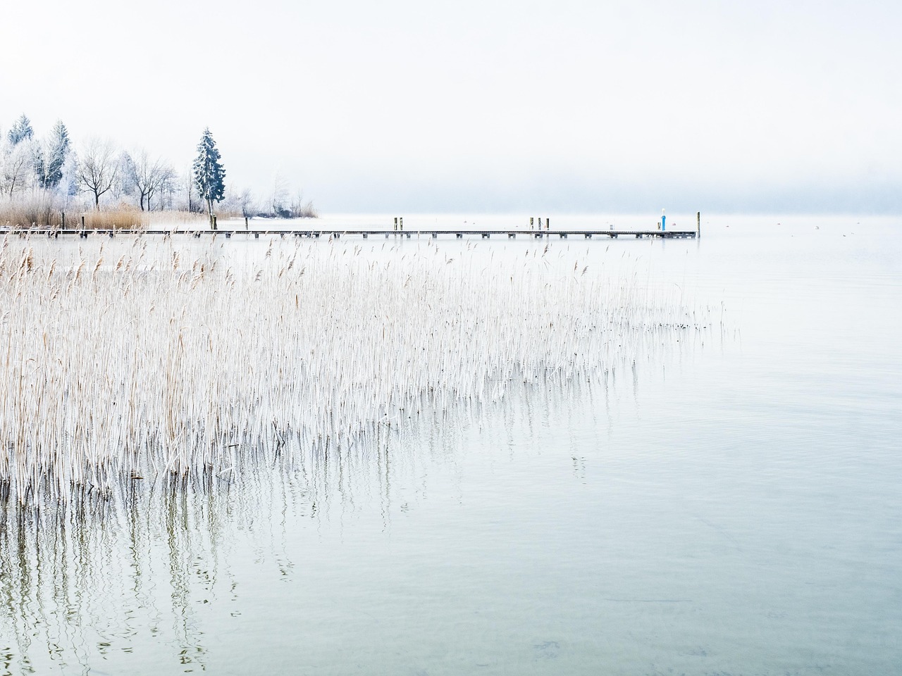 Lake - free online jigsaw puzzle photo