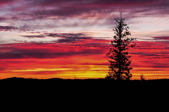 Free Heaven Free Background photo and picture