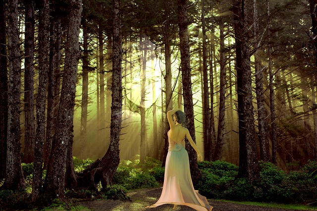 Free forest trail via illustration