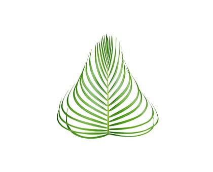 Free Palm Leaf illustration and picture