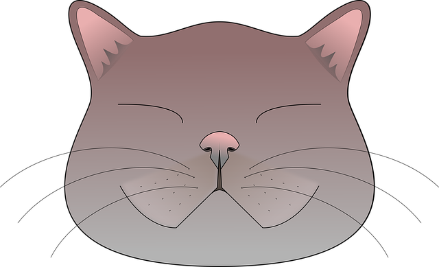 Free Cat Animals illustration and picture