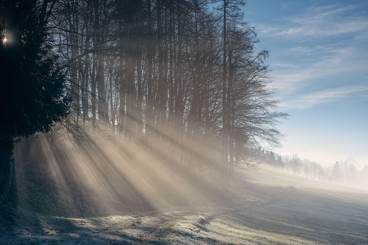 Nature - free online jigsaw puzzle photo