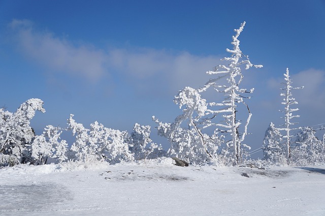 Free Snow Korea photo and picture