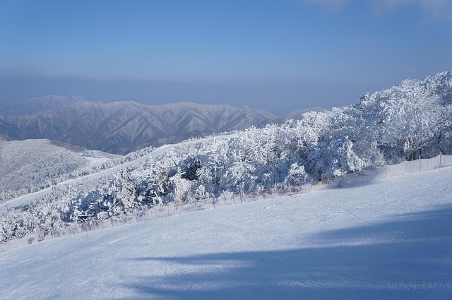 Free Snow Sky photo and picture