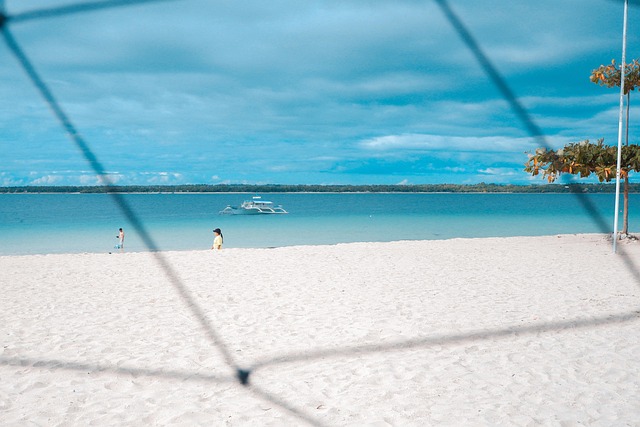 Free Background Beach photo and picture