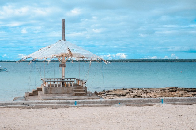 Free Background Beach photo and picture