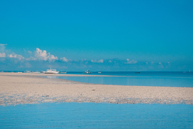 Free Background Beach photo and picture