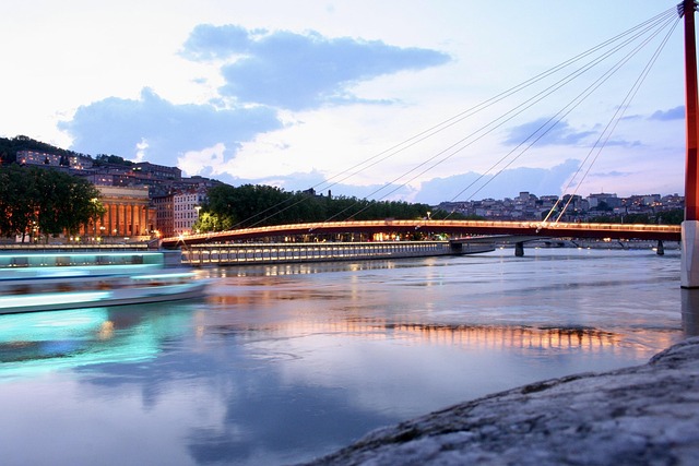 Free Bridge Lyon photo and picture