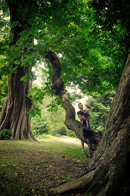 Free Family Trees photo and picture