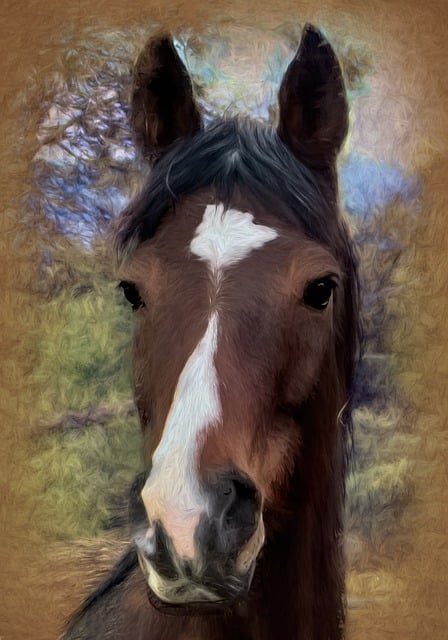 Free horse portrait animal illustration
