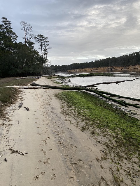 Río, Naturaleza, Paisaje, Agua