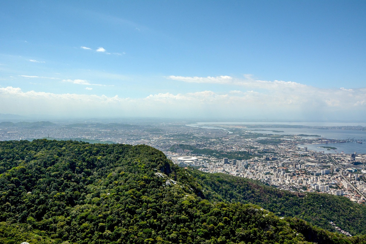 Brazil - free online jigsaw puzzle photo