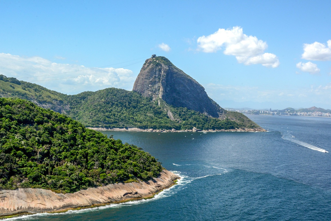 Brazil - free online jigsaw puzzle photo