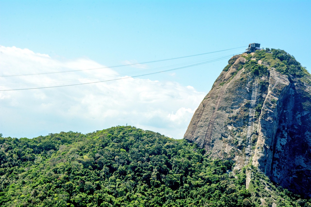 Brazil - free online jigsaw puzzle photo
