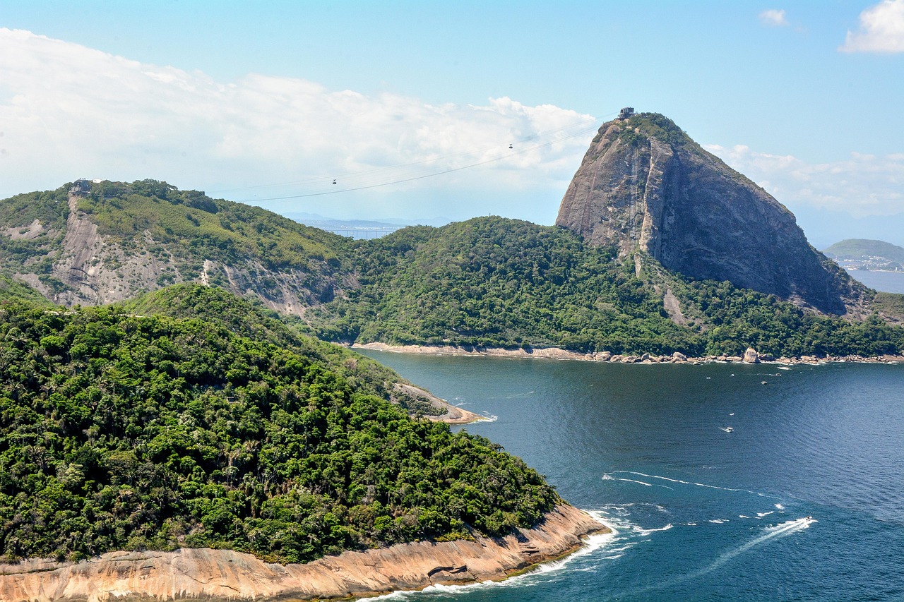 Brazil - free online jigsaw puzzle photo