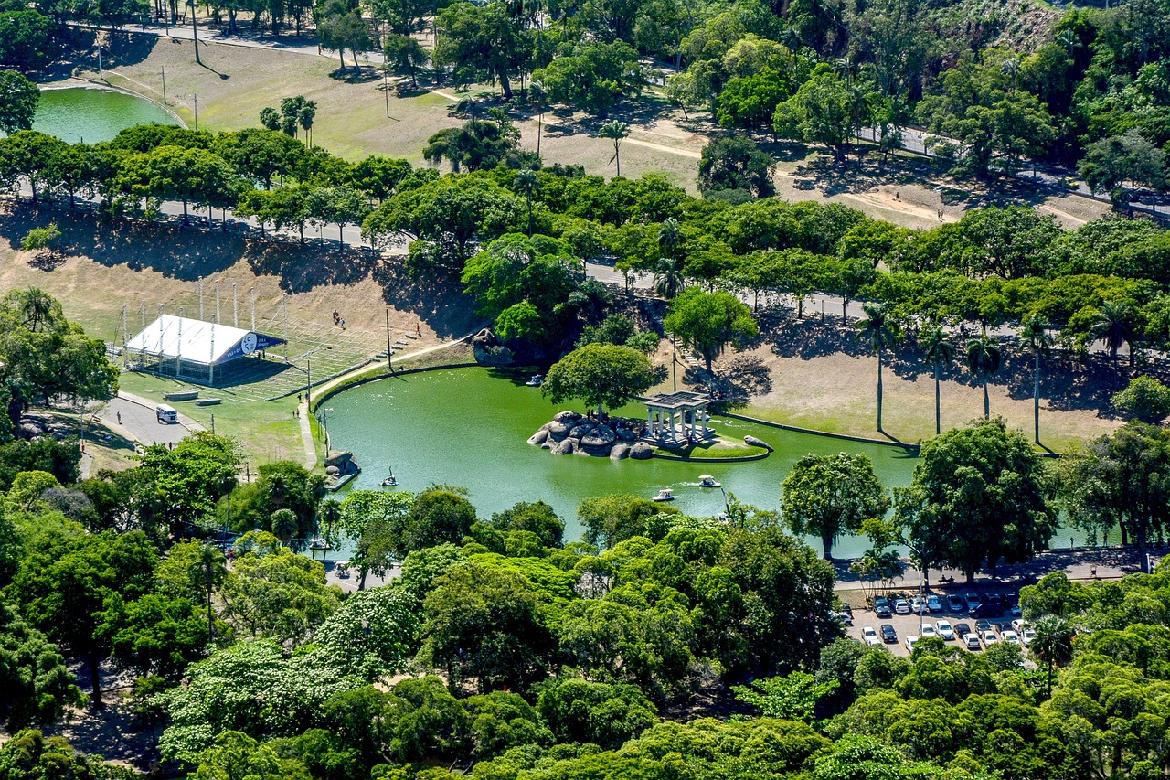 Brazil - free online jigsaw puzzle photo