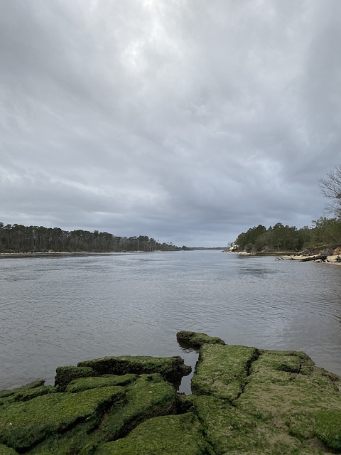 Río, Naturaleza, Paisaje, Agua, Escénico