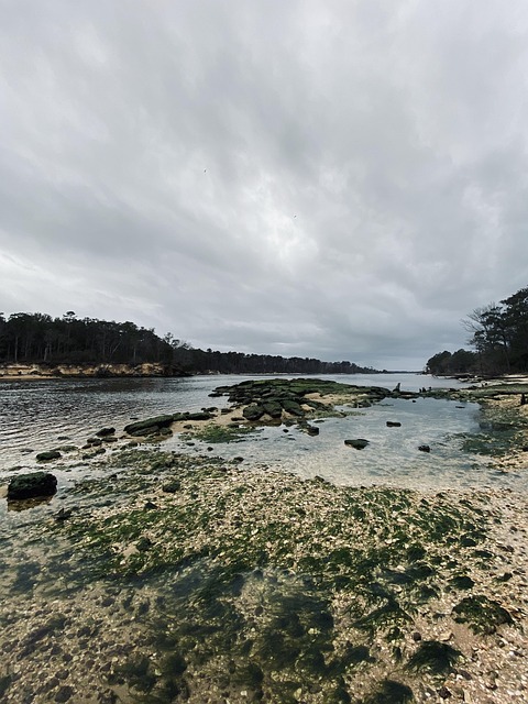 Wide River Nature - Free photo on Pixabay