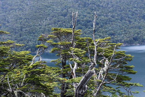 Panorama, Natureza, Assoalhos, Lago