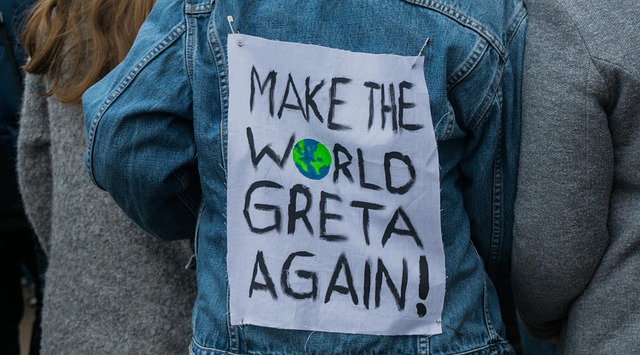 Free Gretathunberg Demonstration photo and picture
