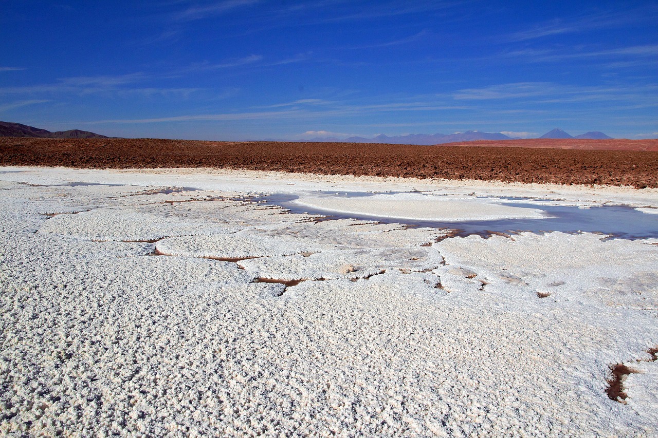 Lago Salado En Chile Baltinache Lago Salado Atacama Desierto Chile