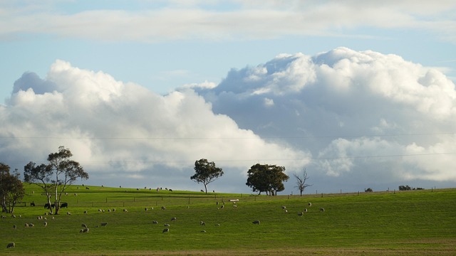 Free Bulking Clouds photo and picture