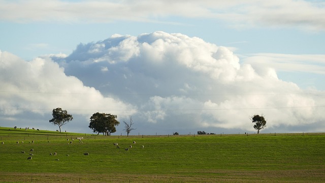 Free Bulking Clouds photo and picture