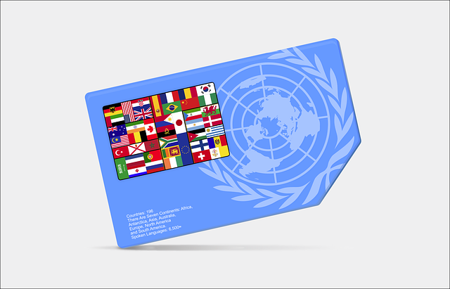 Free flag united nation united illustration