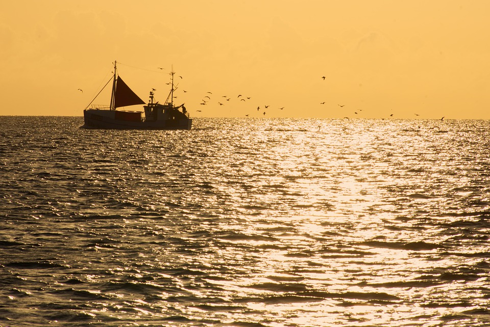 The ABCs of Fishing: Everything You Need to Start Your Angling Adventure