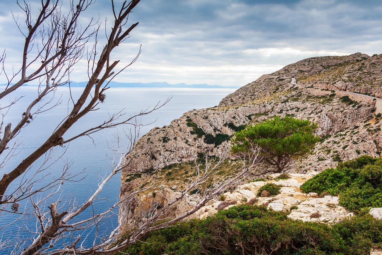 Mallorca - free online jigsaw puzzle photo