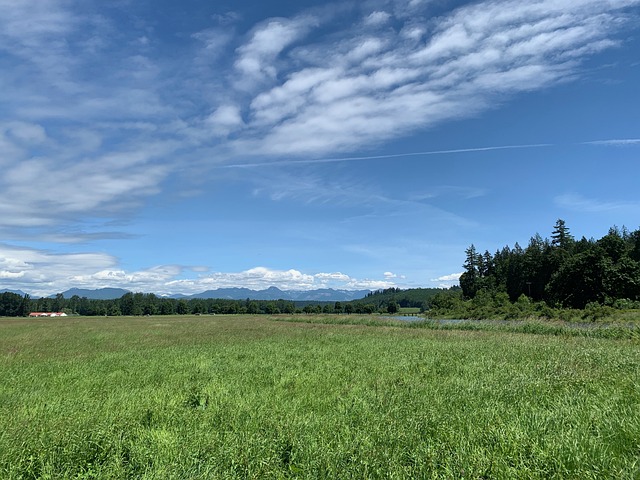 Felt, Gård, Himmel, Land, Landlige
