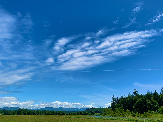 Gård, Hvidt Stakit, Hegn, Sommer