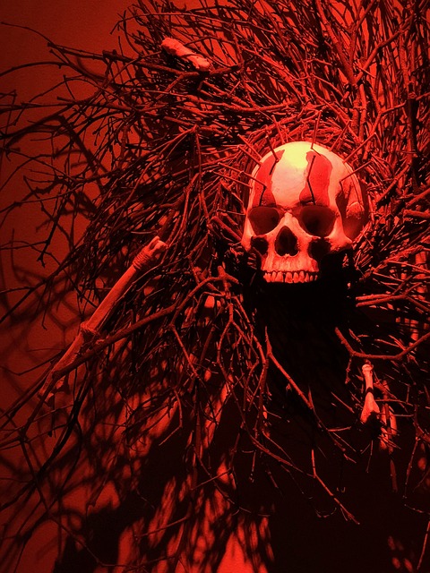 Kranium, Halloween, Skelet, Skræmmende