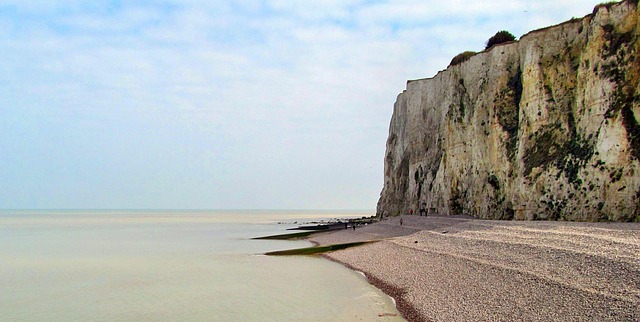 Free France Normandy photo and picture