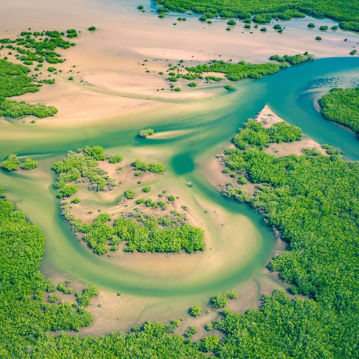 Exploring the Advantages of Drone Cameras: A Comprehensive Guide