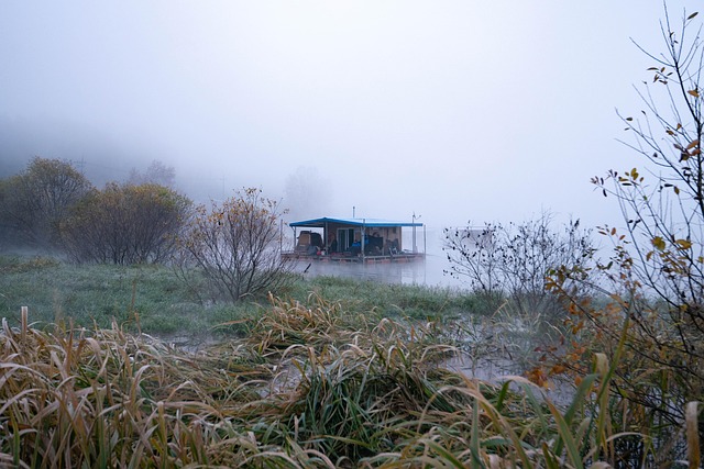 floating house, fishinf, fog, mist, morning, forest, nature, earling morning, reed
