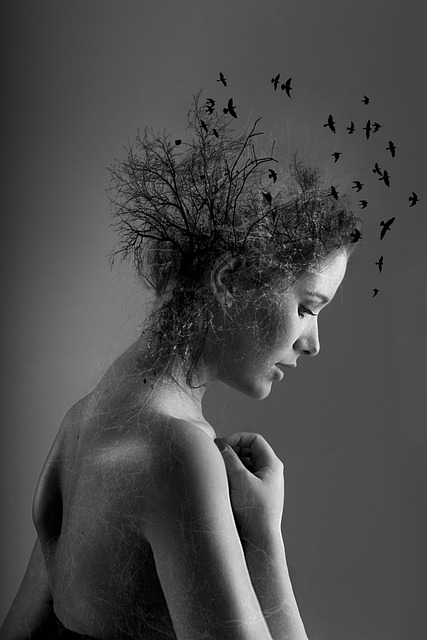 Free Black White photo and picture