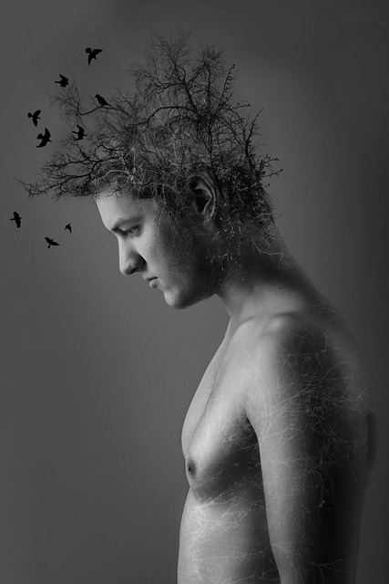Free Black White photo and picture
