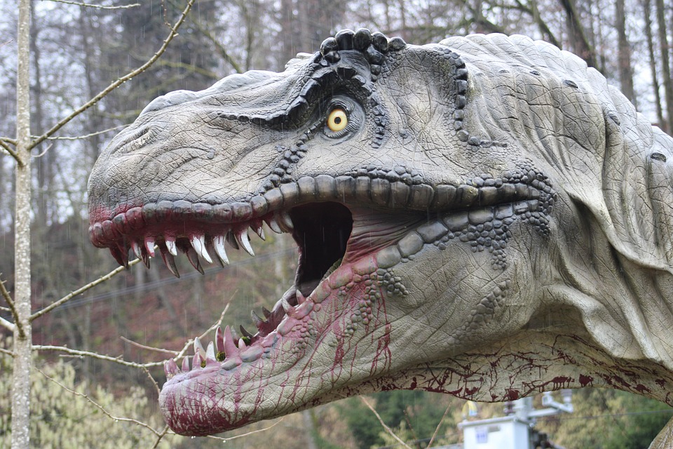 Dino Dinosaur Primeval Times Free photo on Pixabay