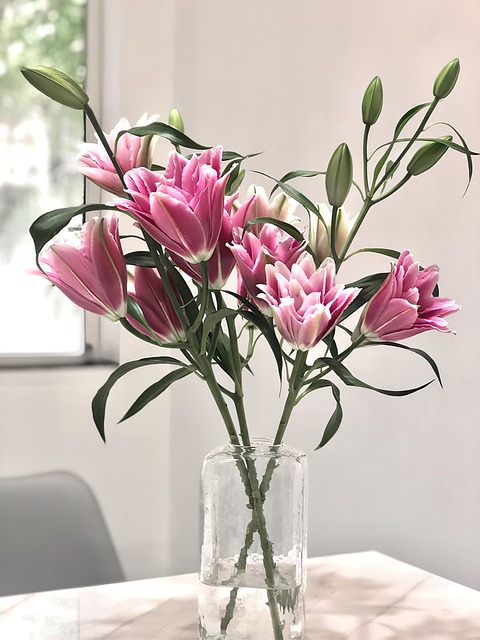 Lirio, Flor, Planta, Bloom, Naturaleza