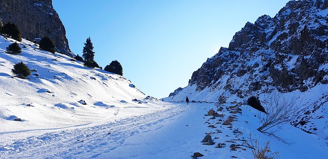 Free Mountains Almaty photo and picture