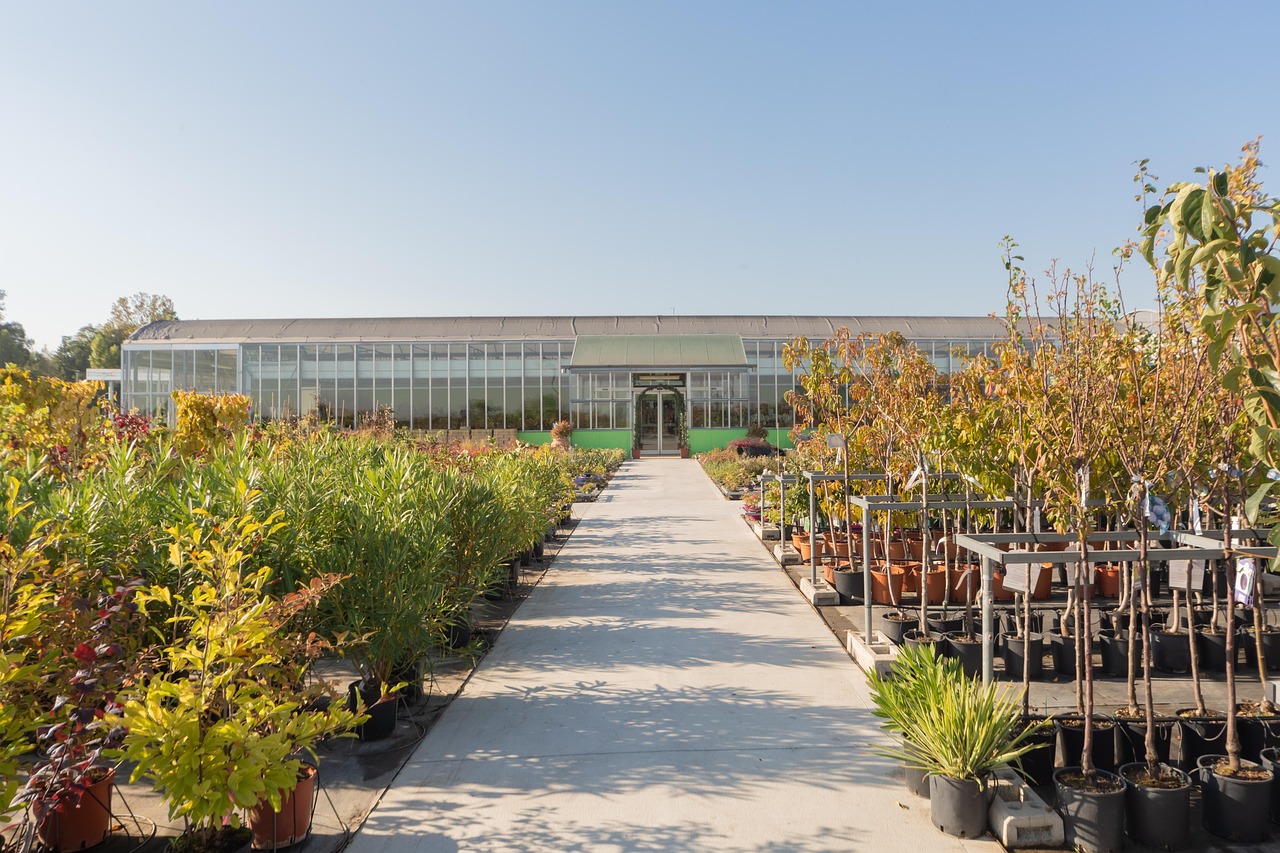 Shrubs Trees Nursery Free photo on Pixabay Pixabay